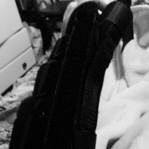 10983095_652509308208185_574662819_o