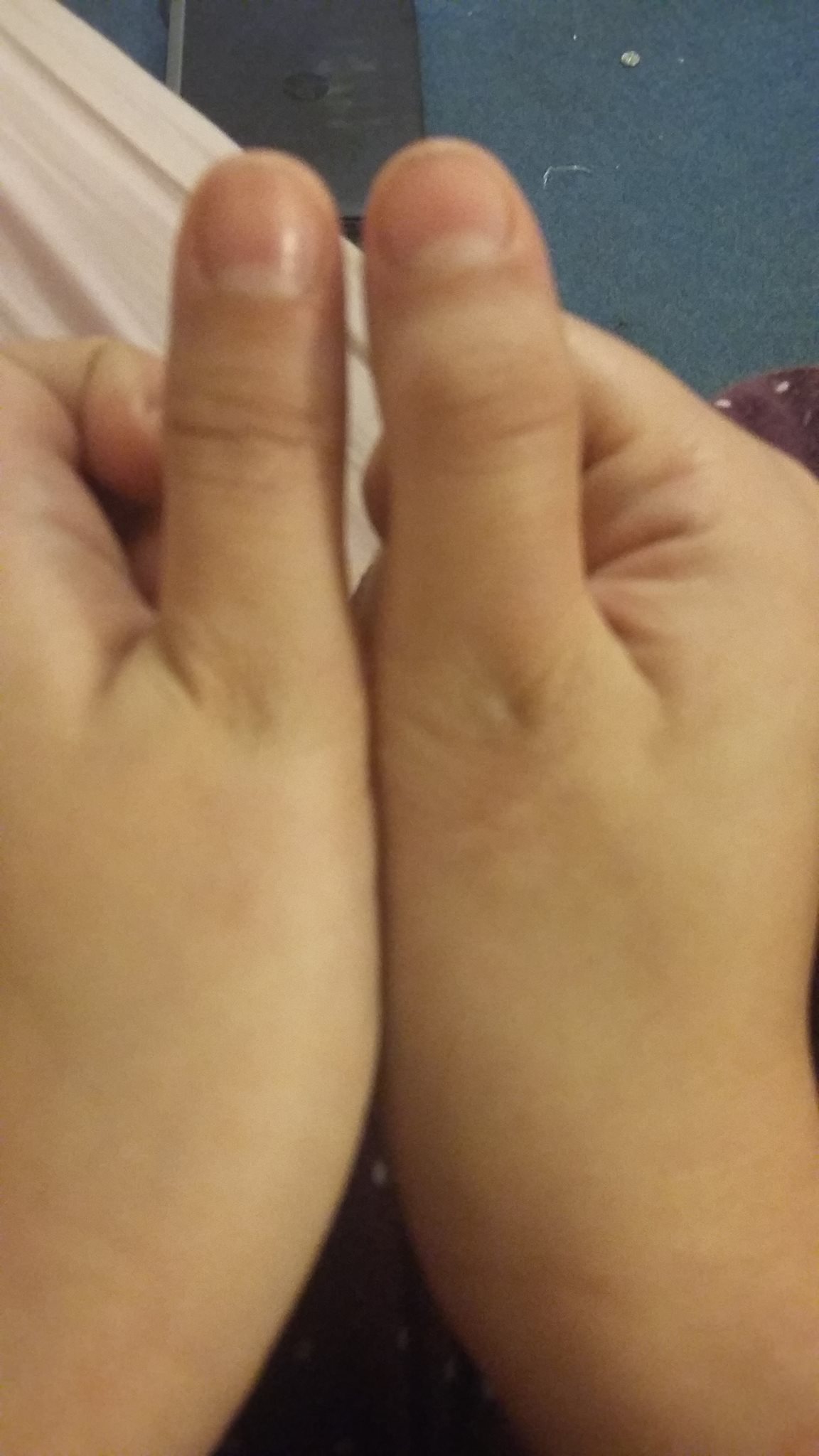 13184635_898295980296182_140464853_o