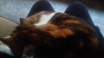 15152885_1051649971627448_166188682_o-1