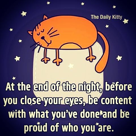 14540542_611550559047335_7000507228864118784_n