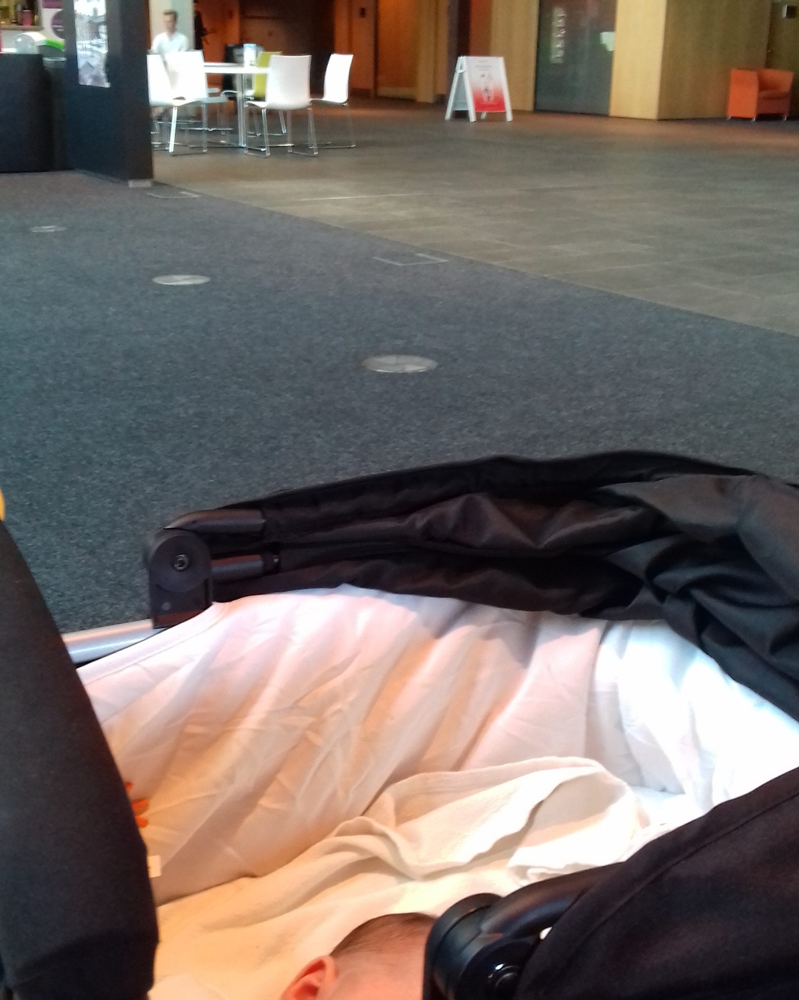 19401673_1256295567829553_1547420925_o